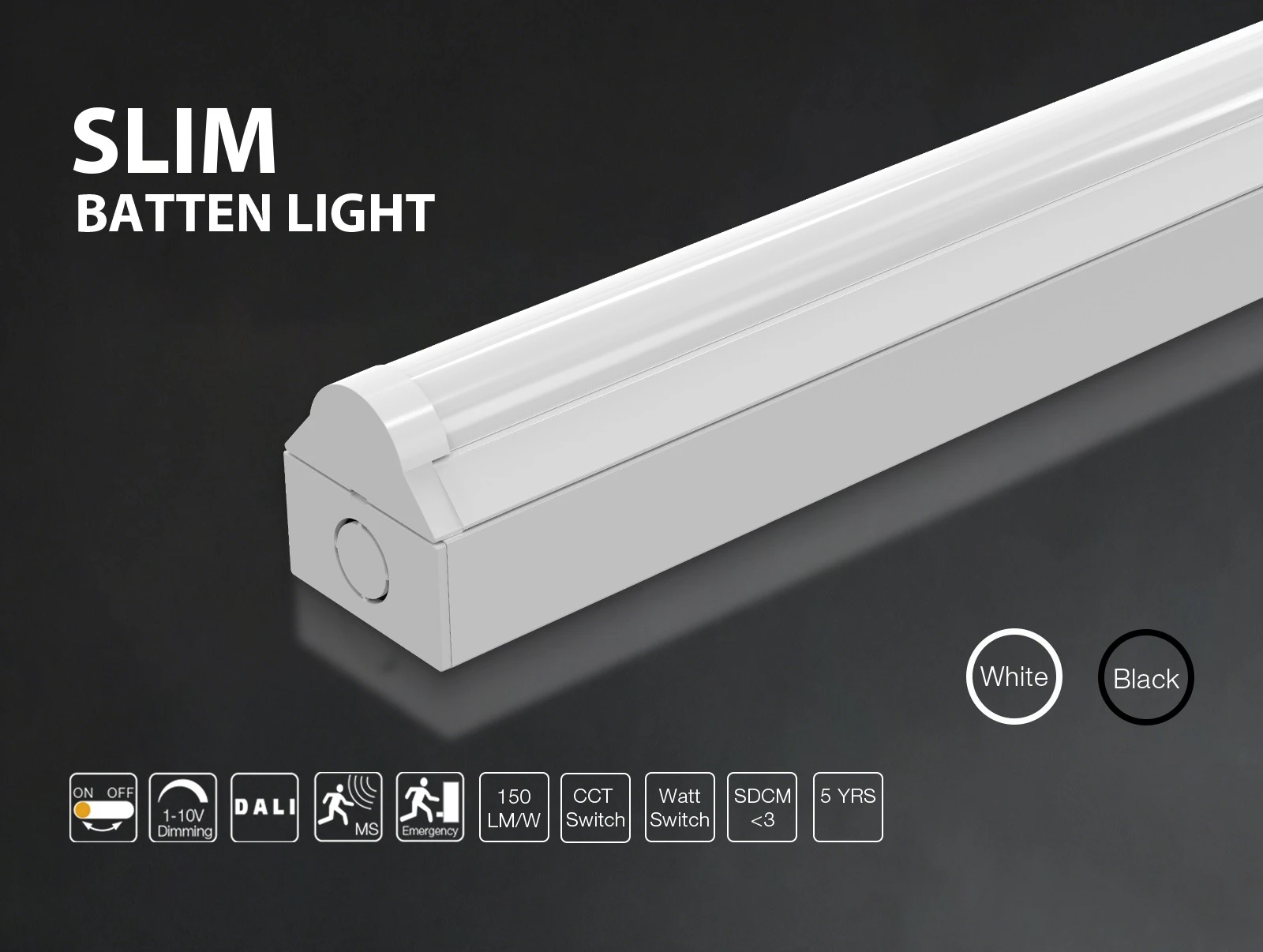 Slim 01 Slim 01